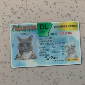 Arkansas Driver License Template