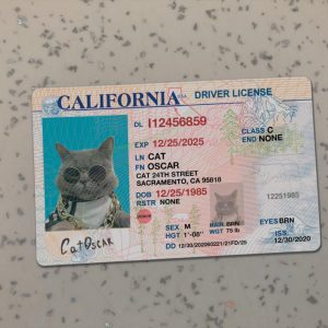 California Driver License Template