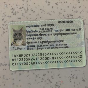 Cambodia Identity Card Template