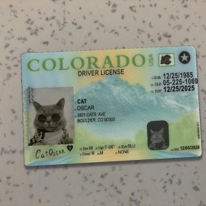 Colorado Driver License Template New
