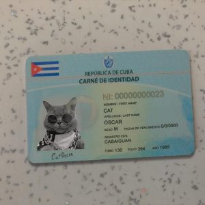Cuba Identity Card Template