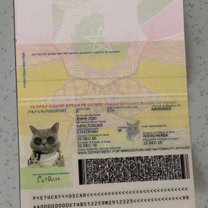 Ethiopia Passport Template
