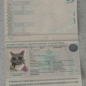 Marocco Passport Template