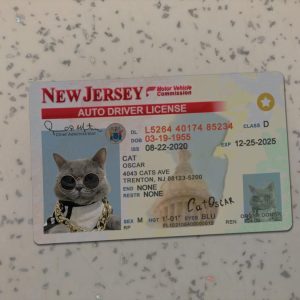 New Jersey Driver License Template