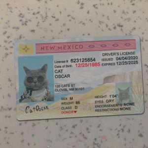 New Mexico Driver License Template