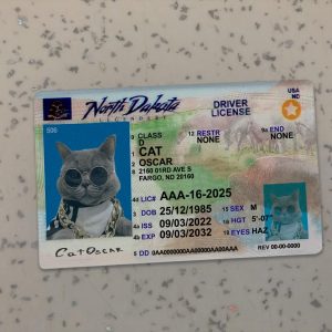 North Dakota Driver License Template