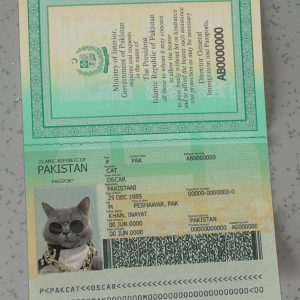 Pakistan Passport Template