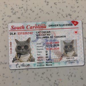 South Carolina Driver License Template