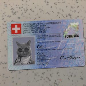 Switzerland Identity Card Template