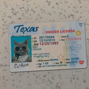 Texas Driver License Template