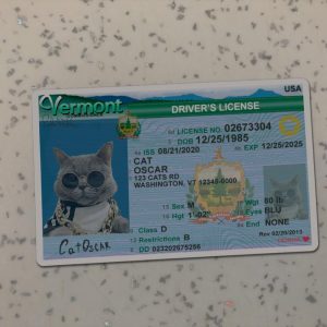 Vermont Driver License Template