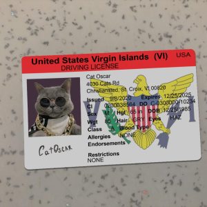 Virgin Islands Driver License Template