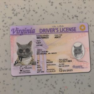 Virginia Driver License Template