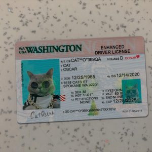 Washington Driver License Template